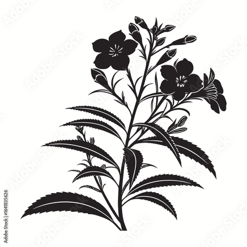 impatiens balsa mina silhouette art on white background.