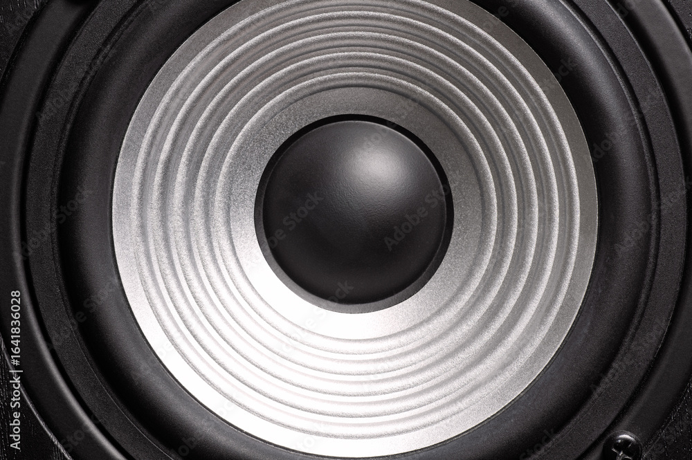 Black and white image of a sound speaker in a wooden case. Black and white image of a sound speaker in a wooden case.