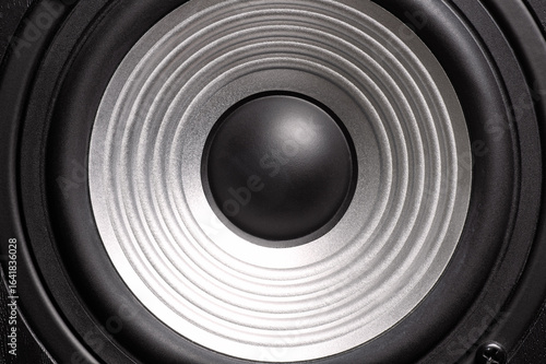 Εκτύπωση καμβά Black and white image of a sound speaker in a wooden case.