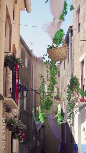 Old street decorated with flowers, white houses and plants, in Molinicos village, Castilla la Mancha, Spain.