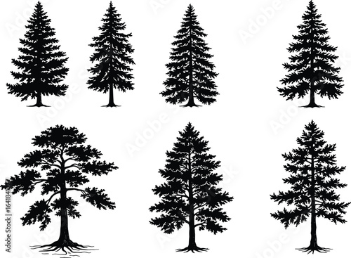 Pine tree silhouette set, evergreen trees, conifer vector, forest illustration, botanical clipart, tall pine graphic, woodland shape, natural tree outline, black design