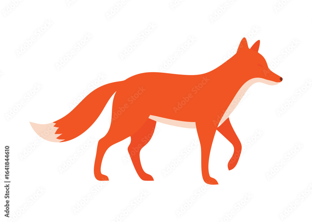 Fototapeta premium Stylized red fox walking with a bushy tail vector illustration