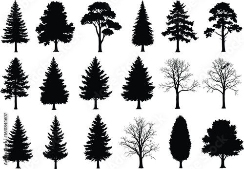 Tree silhouette, forest illustration, pine tree, seasonal trees, botanical vector, deciduous plant, nature clipart, leafless silhouette, conifer shapes, tree outline, woodland elements