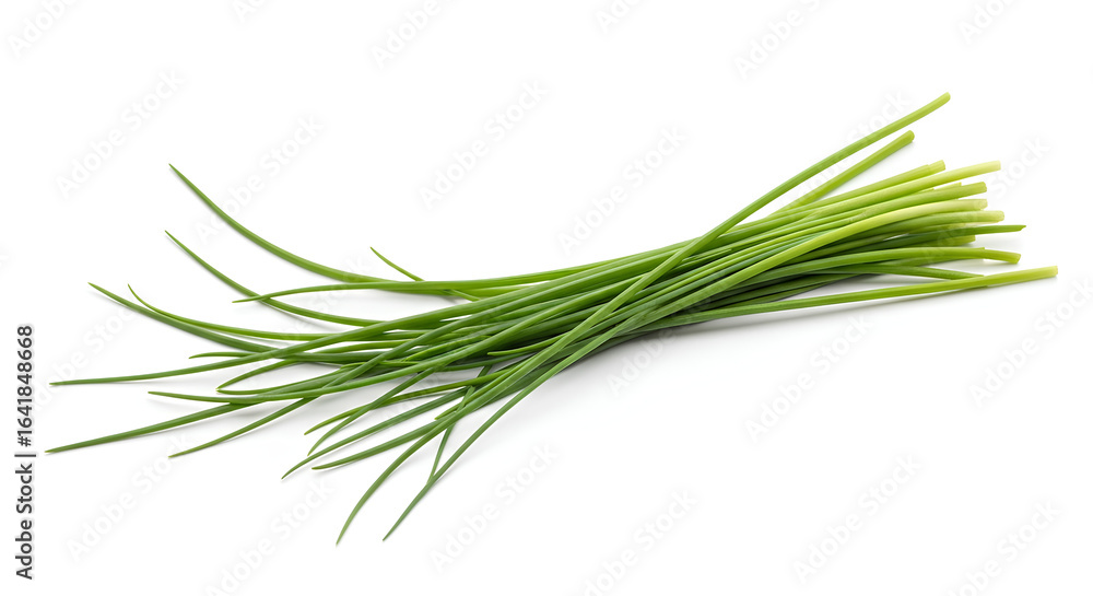 Fototapeta premium bunch of fresh rosemary