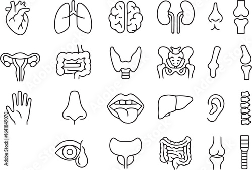 Medical Organs Line Icon Set – Human Anatomy Vector Pictograms of Heart, Brain, Lungs, Kidneys, Stomach, Liver, Skeleton