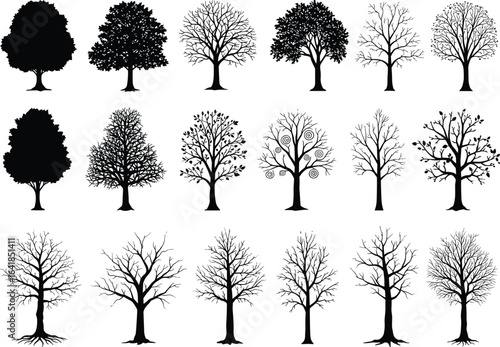 Tree silhouette, leafless tree, forest plant, botanical illustration, seasonal tree, wild nature, black tree vector, bare branches, natural shapes, woodland trees, flora art