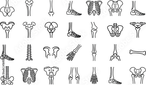 bones Human joints icon set, joint, biological, human, anatomy, health care, brain, mouth, ear, health, spine, bone, medicine and more vector illustration