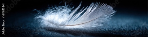 Floating feather on dark blue surface evokes peacefulness and light feelings