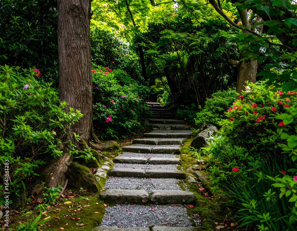 Fototapeta premium Stone Steps Winding Through Lush Green Garden