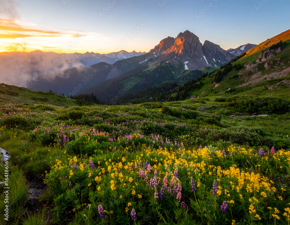 Fototapeta premium Vibrant Wildflower Meadow at Sunset with Mountain Peaks