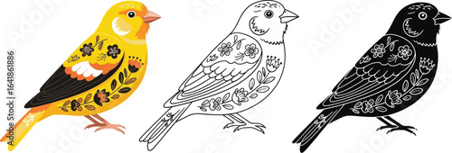 Canary bird illustration set yellow black and white drawing