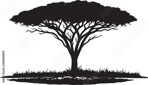 Silhouette of an acacia tree with visible roots and grass on a white background savanna