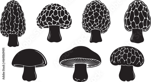 Black silhouette collection of various mushrooms morel and button types fungi fungus