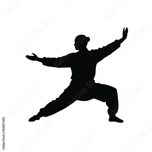 Tai Chi repulse monkey pose silhouette martial arts