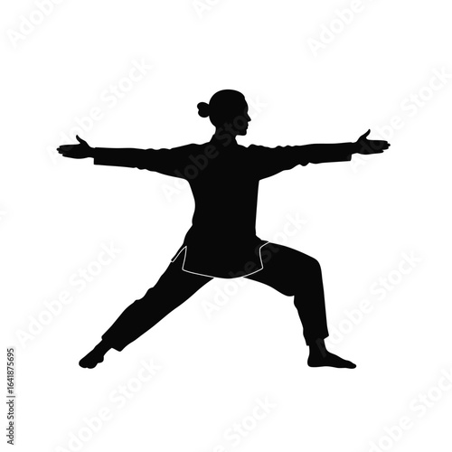 Tai Chi warrior pose silhouette yoga