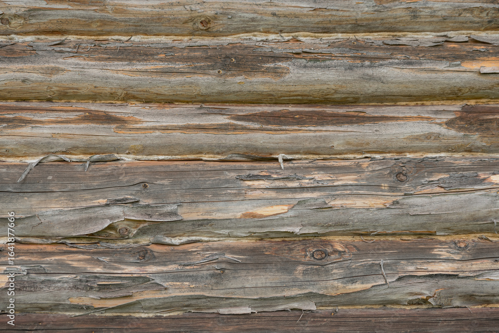 Naklejka premium Old wooden log house wall background texture