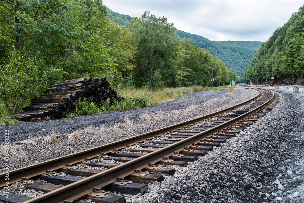 Fototapeta premium A serene view of a winding railway track surrounded by lush green foliage and mountains, with stacked wooden logs nearby, creating a tranquil atmosphere.
