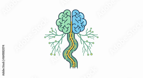 Stylized Brain and Spinal Cord Illustration with Nerves