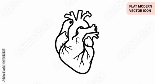 Simple Black and White Anatomical Heart Vector Illustration Design
