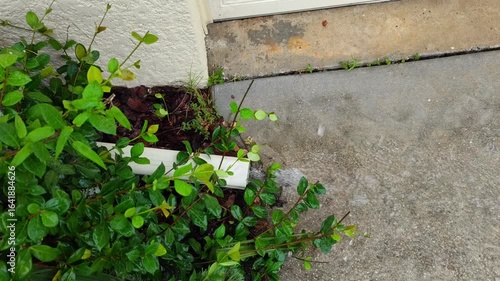Rain water flowing to gutter of a house	
