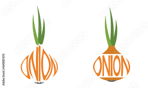 Two onions with inscription onion. Vegetable, planting and harvest symbols. Natural organic food. Isolated vector images