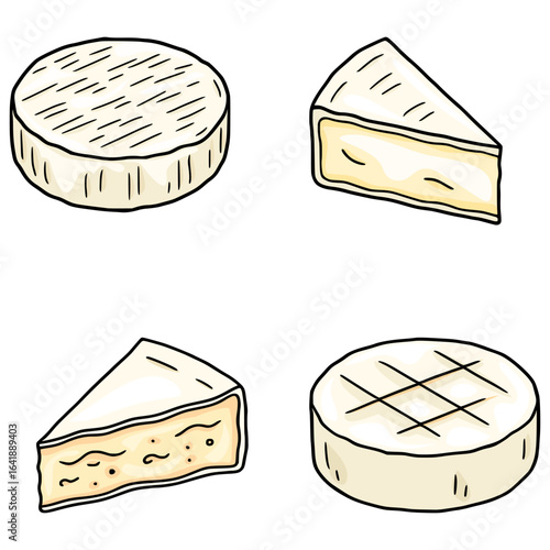 A charming vector illustration featuring  variations of cheese Brie and Camembert, showcasing whole rounds and cut wedges with detailed textural markings and creamy interior.