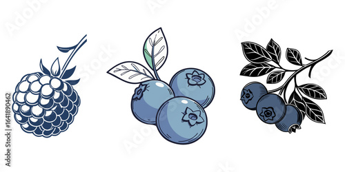 Blueberry Illustration vector design, Blueberry in white background vector design, Blueberries icon in solid flat trendy design style, blueberry vector silhouette icon, black and white illustration