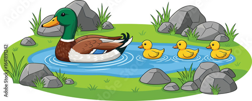 Duck and ducklings swimming in pond, nature scene, cartoon illustration, green grass, blue water, ripples, rocks, plants, peaceful habitat