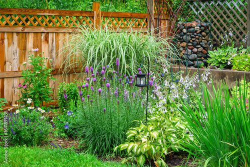 Corner Garden in the Rain With Beautiful Summer Flowers