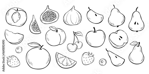 Apples, pears, blueberries, strawberries, peach, orange, cherry and figs isolated on white background. Vector line illustration set of different fruits for coloring book, logo design, or print. 