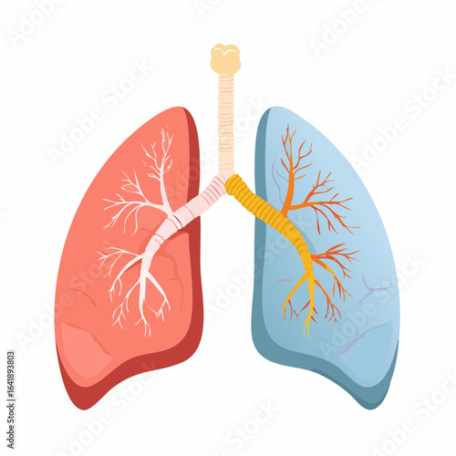 Healthy vs. Unhealthy Lungs Comparison, Medical Flat Design