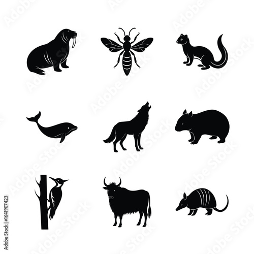 Ostrich and Owl Bird Icon Set Vector Design