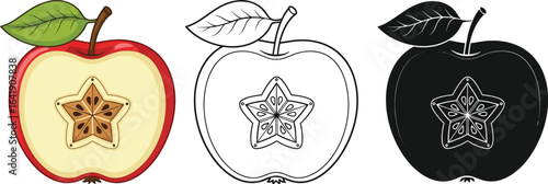Apple cross section vector illustration and clip art design editable