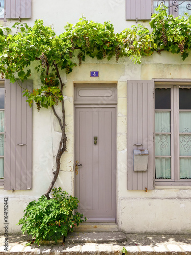 Grey door with grapevine and overhanging grape cluster above the entrance.