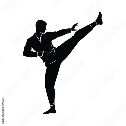 Dynamic Silhouette of Martial Arts High Kick
