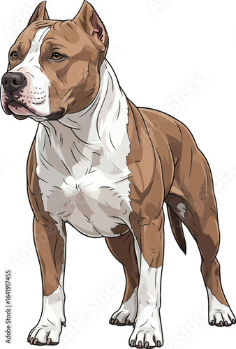 Confident American Pit Bull Terrier Dog standing calm illustration