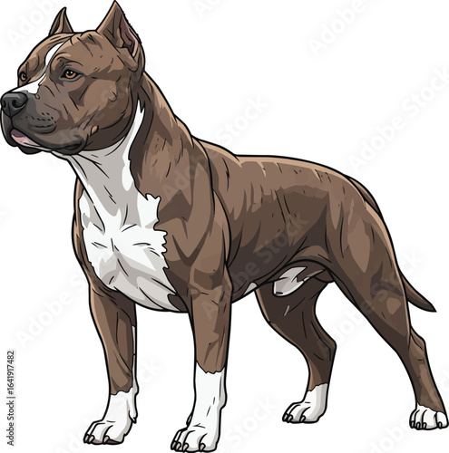 Muscular American Pit Bull Terrier dog standing vector illustration