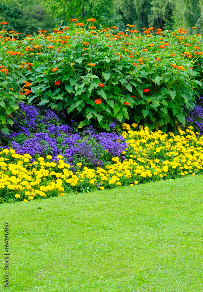 Obraz premium Beautiful garden with a flowerbed.
