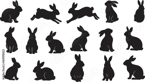 Rabbit silhouette set, bunny animal vector, hare sitting and running poses, wildlife black shapes, nature art design, animal graphic illustration collection