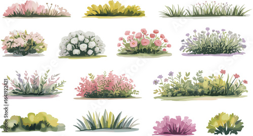 PrinGarden plants illustration, decorative shrubs, colorful bushes, blooming flowers, landscape design elements, floral clipart, botanical set, nature greenery, vector art, isolated backgroundt