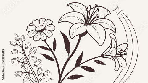 Elegant black and white line art floral illustration. Simple botanical drawing of flowers, lilies, and plants for design.