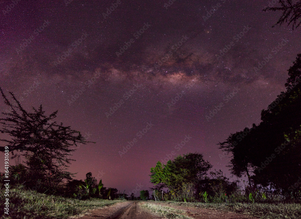 Fototapeta premium Milky Way Above the Savannah Road in Masai Mara