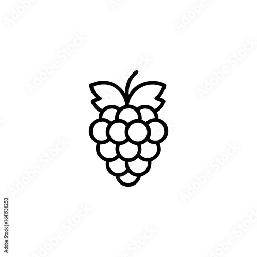 A raspberry fruits icon line art vector illustration.