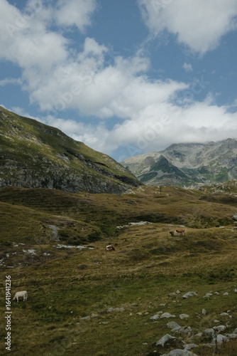 alps to lake