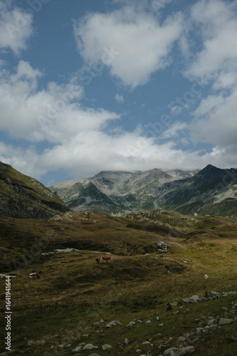 alps to lake