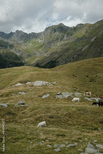 alps to lake