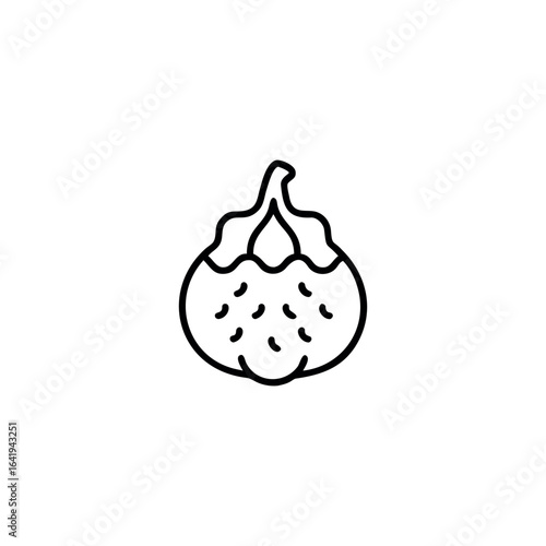 A yunnan-hackberry fruits icon line art vector illustration.