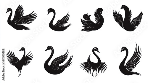 Fototapeta Naklejka Na Ścianę i Meble -  Eight black swan silhouettes, various poses, white background; design elements