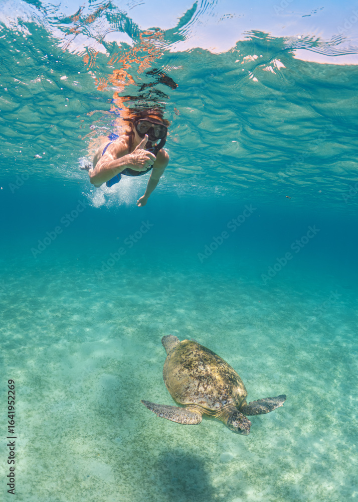custom made wallpaper toronto digitalSnorkelling in Marsa Mubarak, Egypt, young woman swimming above green sea turtle, showing thumb up