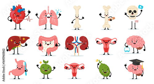 Anatomy cartoon characters teaching human body systems and organs